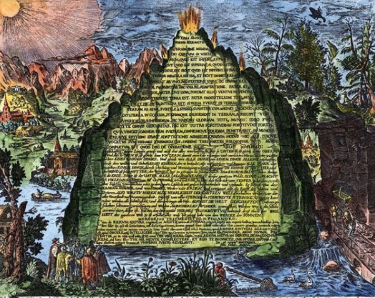 Ein Bild, das Text, Pflanze, Baum enthält.
Automatisch generierte Beschreibung